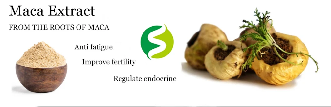 product-1060px-1 Hight Quality Maca Root Extract Powder Organic Maca Powder
