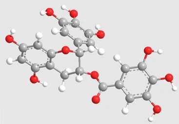 product-367-255 green tea extract 16