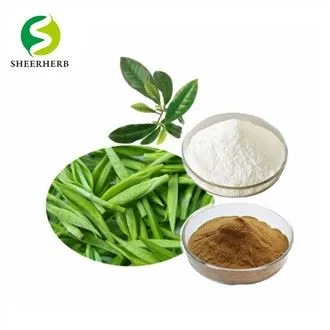 Bubuk Ekstrak Teh Hijau EGCG