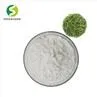 Green Tea Extract Powder EGCG