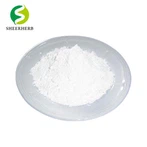 Bubuk Kreatin Monohidrat dalam Jumlah Besar