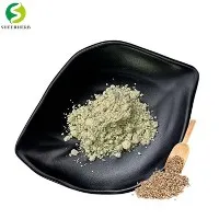 Bubuk Protein Biji Rami