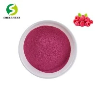 Ekstrak Raspberry