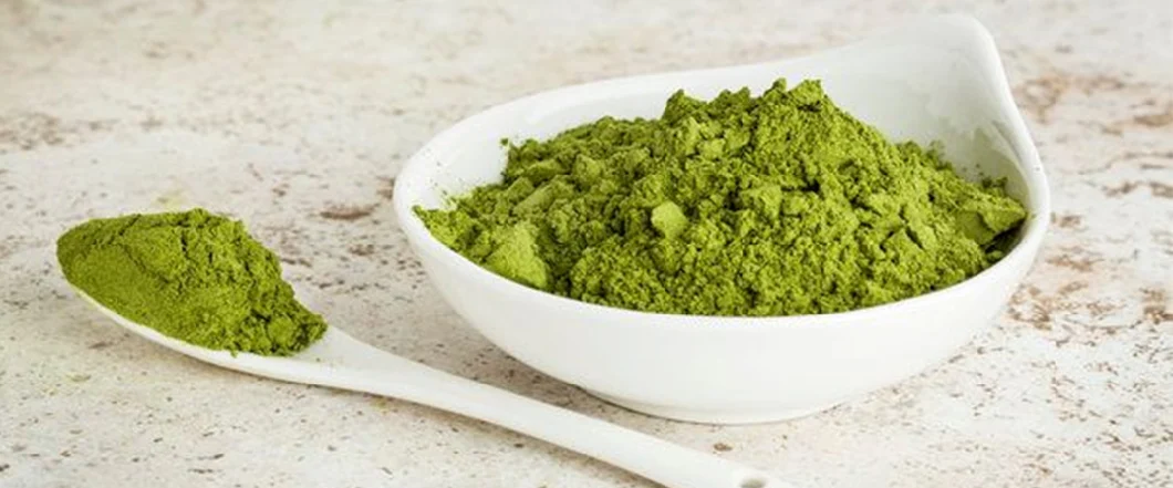 100% Organic Pure Moringa Leaf Extract Powder and Capsules From Indian Manufacturers