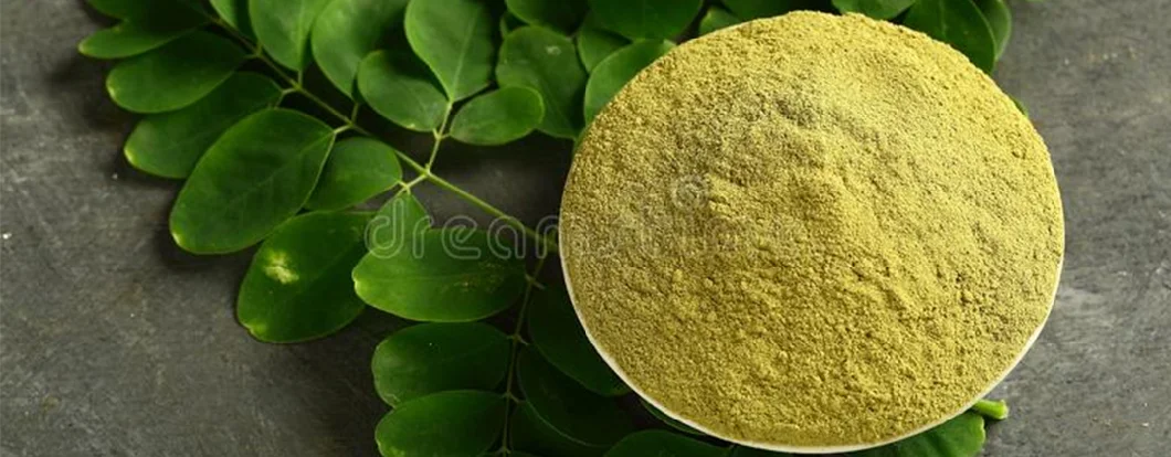 100% Organic Pure Moringa Leaf Extract Powder and Capsules From Indian Manufacturers