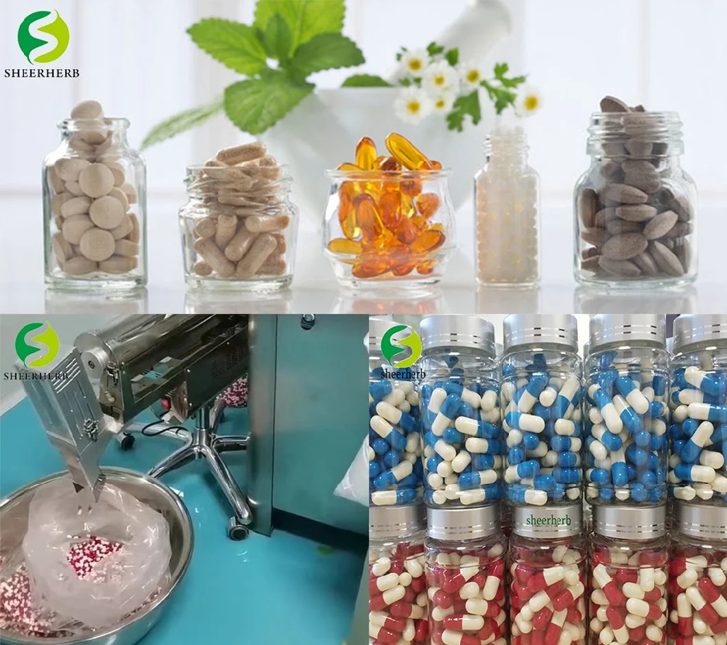 100% Organic Pure Moringa Leaf Extract Powder and Capsules From Indian Manufacturers