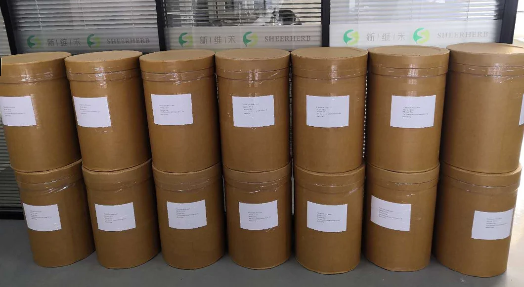 100% Organic Pure Moringa Leaf Extract Powder and Capsules From Indian Manufacturers