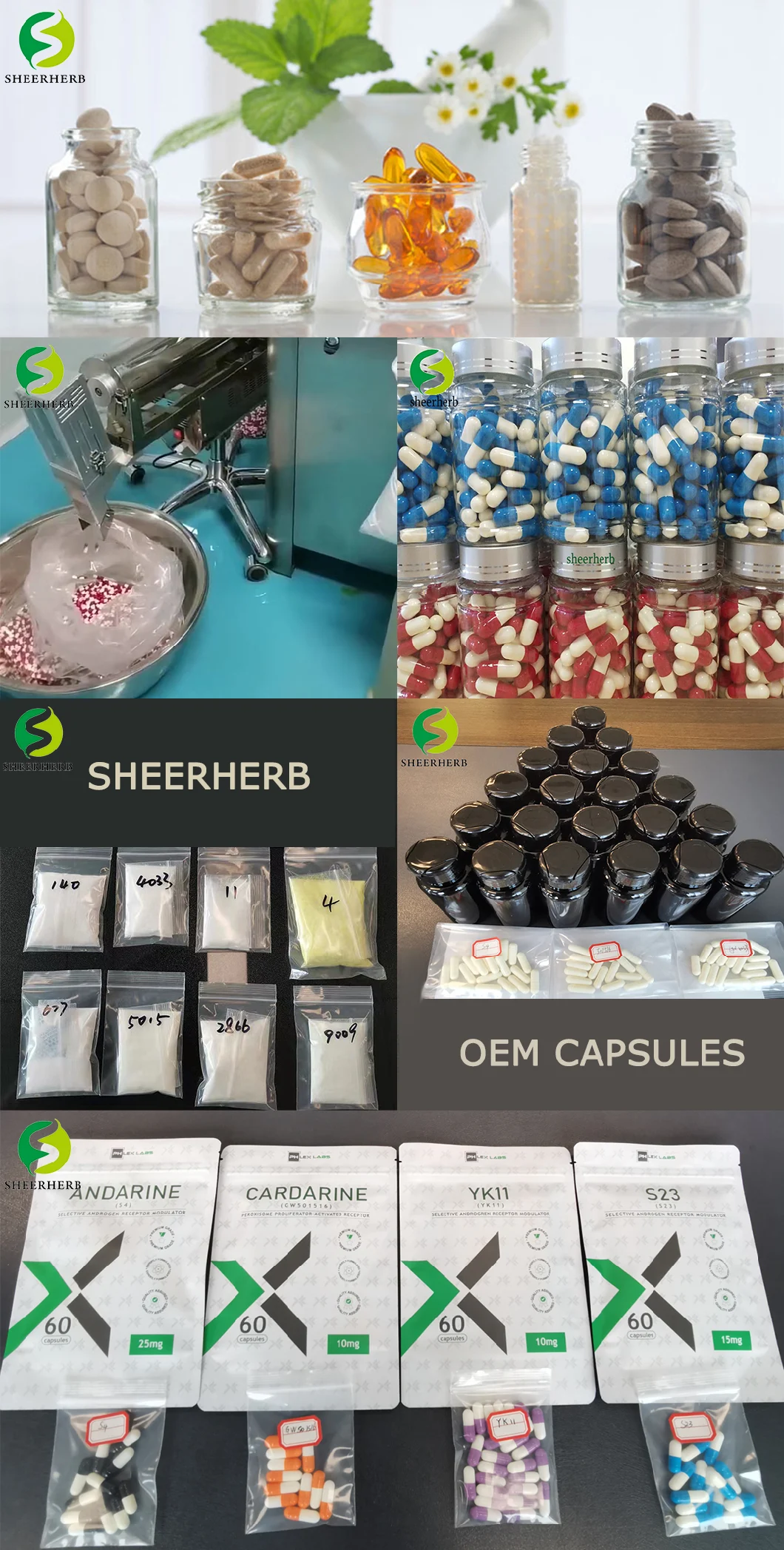 Guarantee Quality Sophora Japonica Extract Quercetin Powder 95% 98%