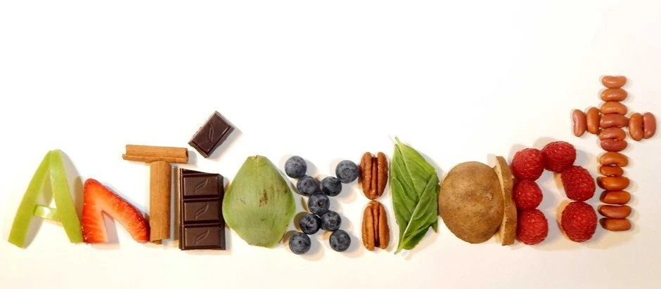 antioxidant Carnosine 