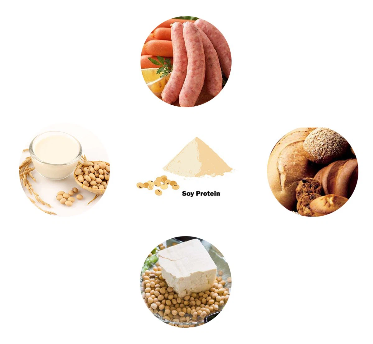 Soy protein 4