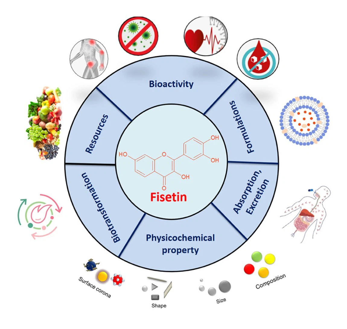 fisetin 6