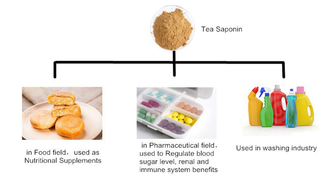 Tea Seed Extract 6