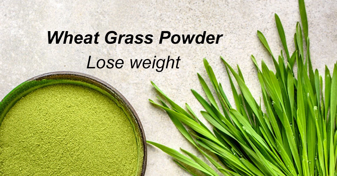 wheat grass powder 5