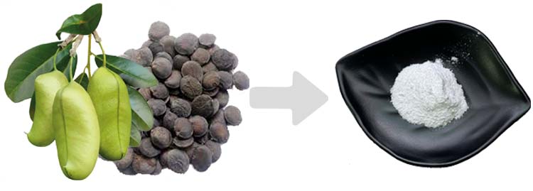 Griffonia Seed3