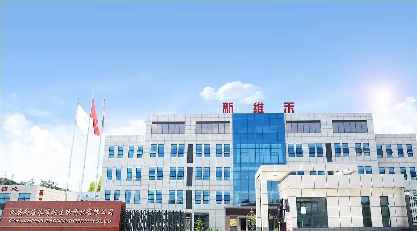 QQ20230317091943