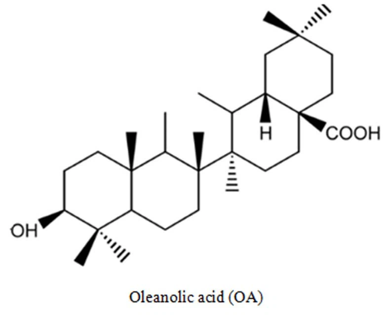 Oleanolic acid-2 Oleanolic acid-2