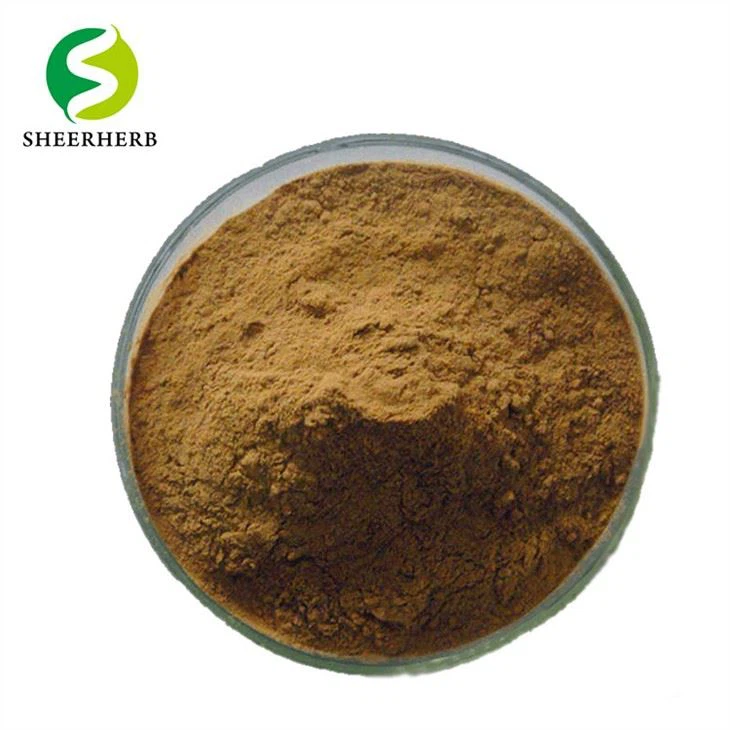 Bubuk Ekstrak Akar Maca