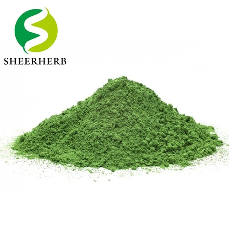 Bubuk Ekstrak Daun Kelor