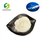 Bubuk Kondroitin Sulfat