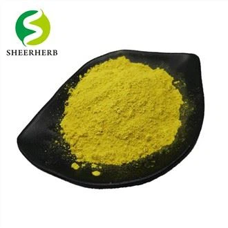 Fisetin Powder