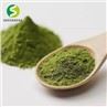 Matcha Green Tea Powder 4