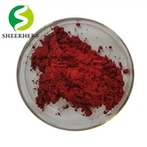 Bubuk Vitamin B12