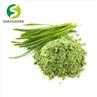 Wheat Grass Powder