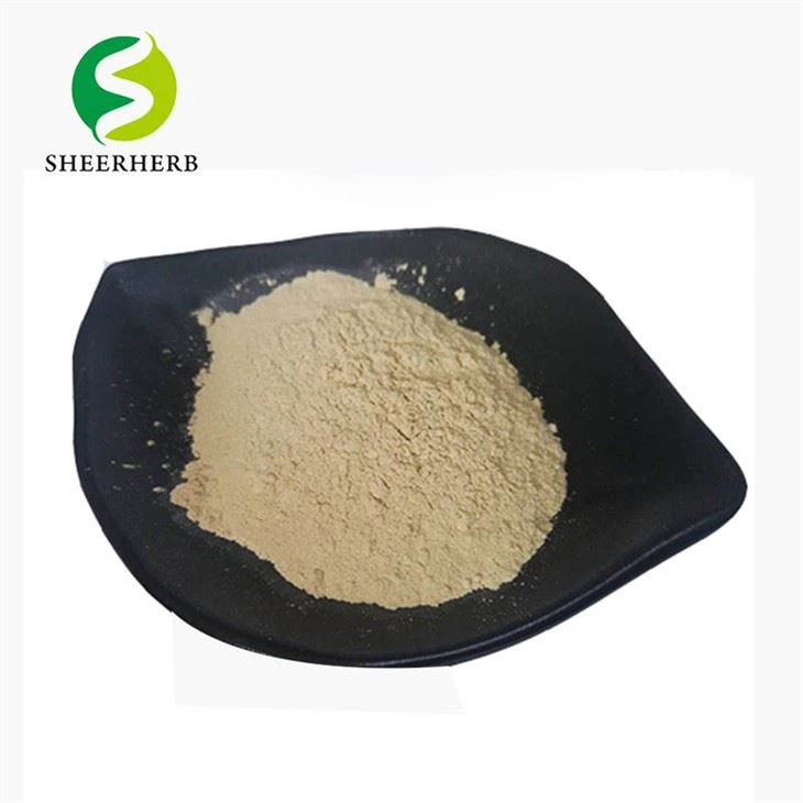 Bubuk Protein Kedelai