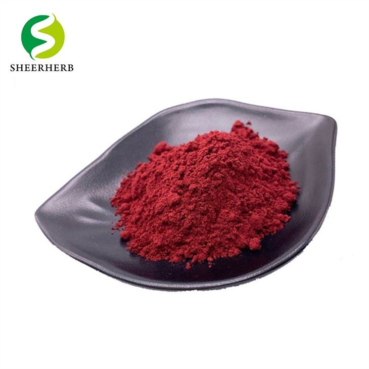 Bubuk Vitamin B12