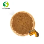 Bubuk Jamur Chaga