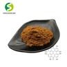 Hypericum Perforatum-2